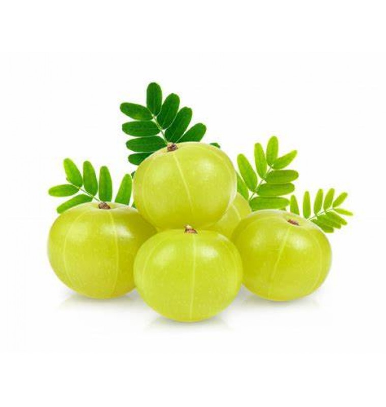 Amla / Amalaki (Fresh)