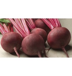 Beet Root / বিটরুট (150-220gm)