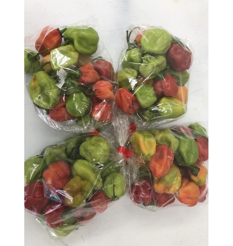 Kamranga Morich / Bombay Morich / Spicy Chilli / Habanero (Fresh) Kamranga Morich / Bombay Morich / Spicy Chilli / Habanero (Fresh)