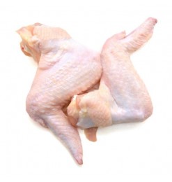 Chicken Wingette (Japan) Chicken Wingette (Japan)