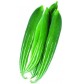 Chichinga Fresh (Snake Gourd) FROZEN 900gm 