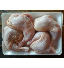Chicken Leg (Turkey / USA) Chicken Leg (Turkey / USA)