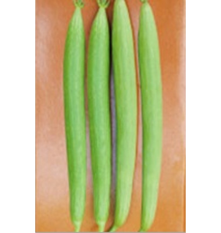 Dhundol / Sponge Gourd (Fresh)