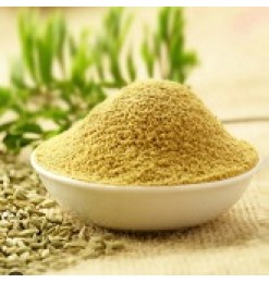 Fennel Powder (Saunf/ Mouri / Misti Jeera) Powder - 100gm Fennel Powder (Saunf/ Mouri / Misti Jeera) Powder - 100gm