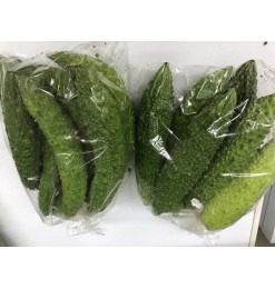  Korola / Bitter Gourd / Karela / Goya FRESH 3pcs