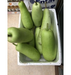 Lau / Lauki / bottle Gourd (FRESH)  upto 1.2kg Price