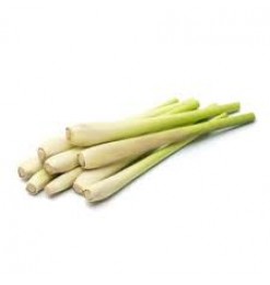 Lemon Grass Lemon Grass