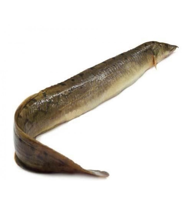 Baim Skinless (Long) Eel 