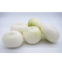 Onion (Peeled) Ready to Use  (1000gm)