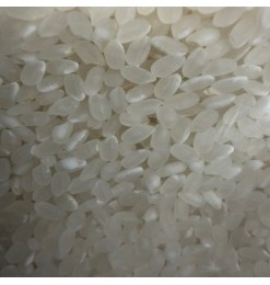 Japan Rice (Quality Rice) 10kg Japan Rice (Quality Rice) 10kg