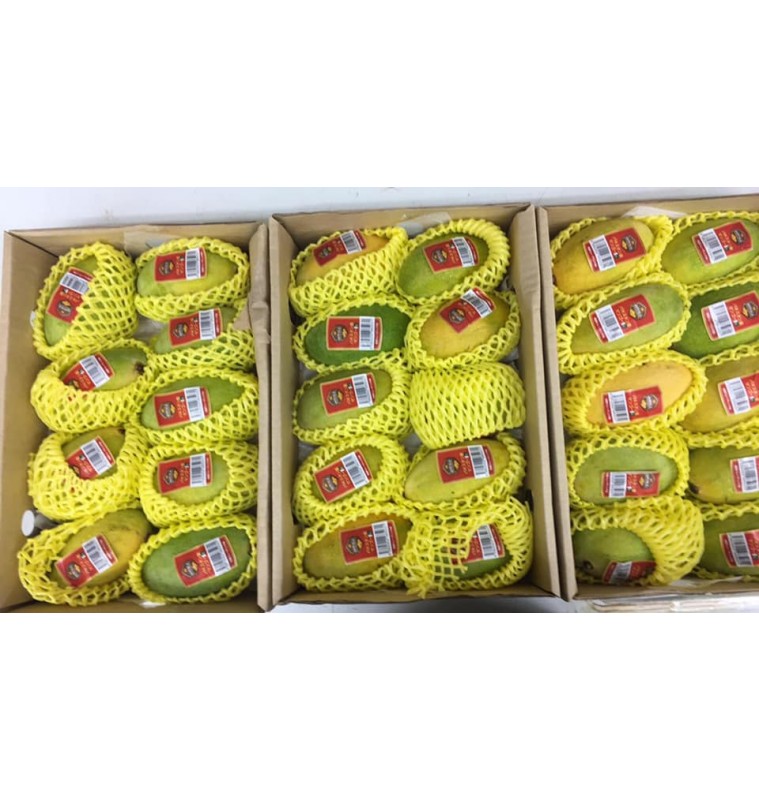 Yellow Mango / Paka Mango/ Ripened Mango  (Pakistan) 12-18pcs [Sindhri] 5kg / 1 BOX