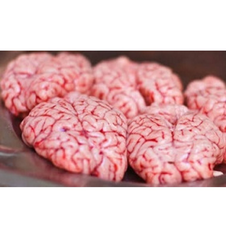 Sheep Brain (Australia)  480-540gm