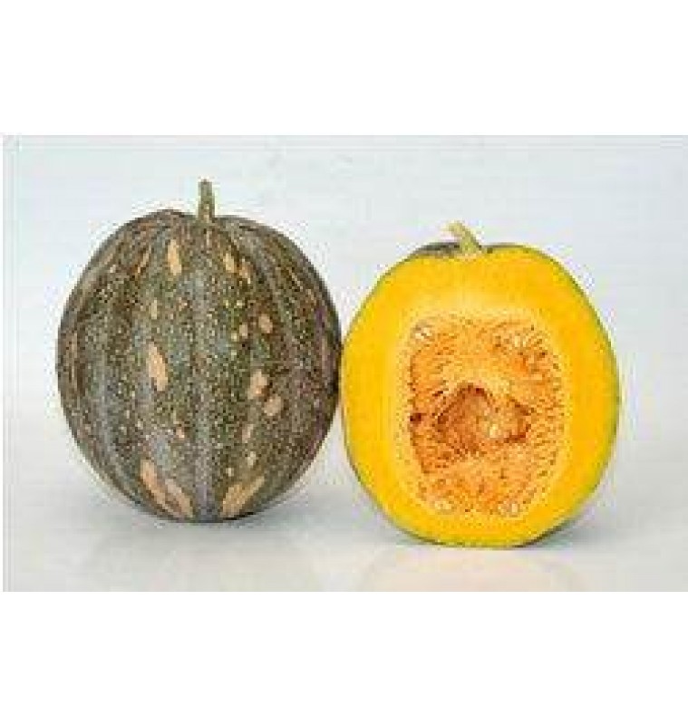Deshi Yellow Pumpkin / Winter Squash (Fresh and Ripened) Deshi Yellow Pumpkin / Winter Squash (Fresh and Ripened)