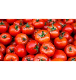 Tomato Red / Yellow 500gm Fresh