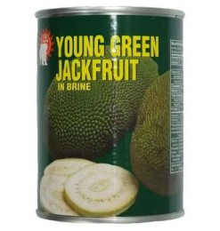 Young Green Jackfruit/ Kancha Kathal / Echor Young Green Jackfruit/ Kancha Kathal / Echor