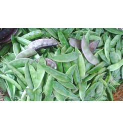 Sheem (Frozen) 400gm Sheem (Frozen) 400gm