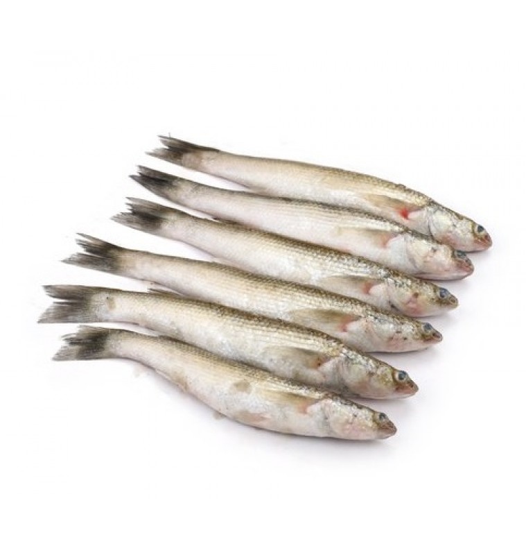 Bata Fish (Cleaned) Big Size