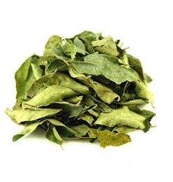 Curry Leaf / Pata (Dry) - 50gm Curry Leaf / Pata (Dry) - 50gm