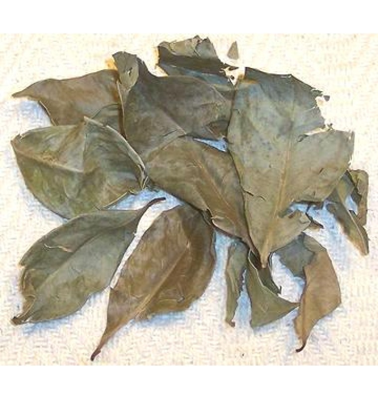 Daun Salam (Dried) - 10gm