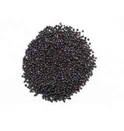 Mustard Seed Whole (Black) 100gm Mustard Seed Whole (Black) 100gm