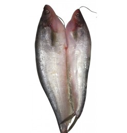 Pabda Fish (Cleaned) (small) 250gm Pabda Fish (Cleaned) (small) 250gm