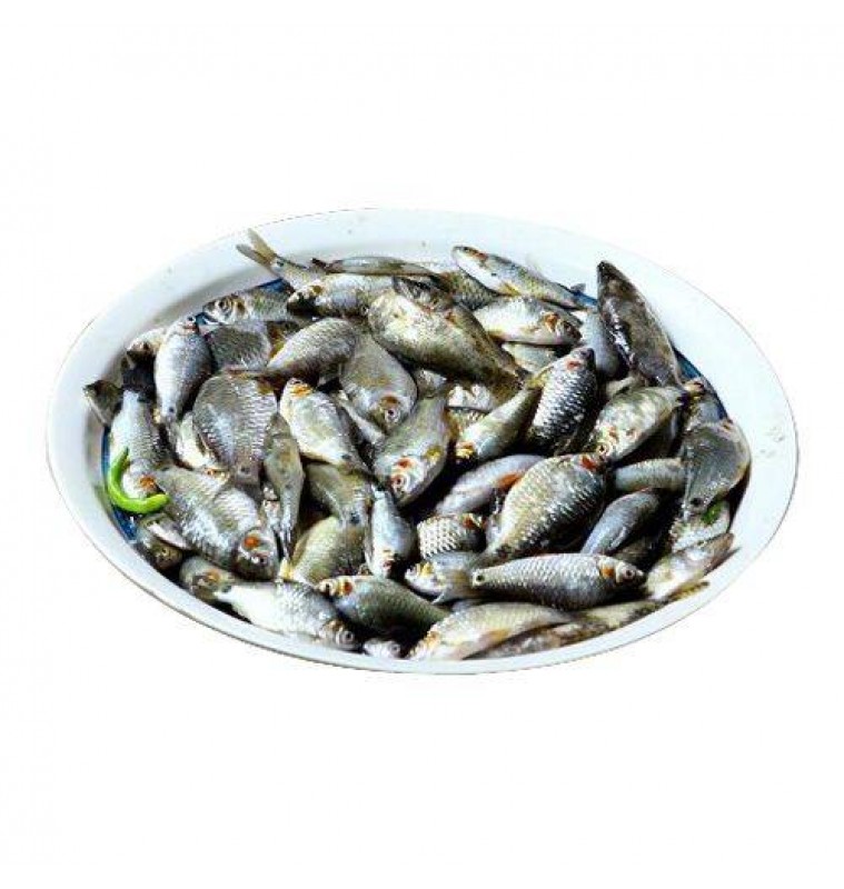 K. Puti / Deshi Puti (Cleaned) K. Puti / Deshi Puti (Cleaned)